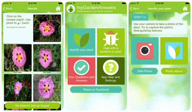 gardenanswer.png