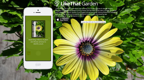 likethatgarden.jpg