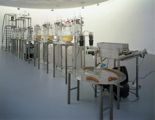 2000-wim-delvoye-cloaca.jpg