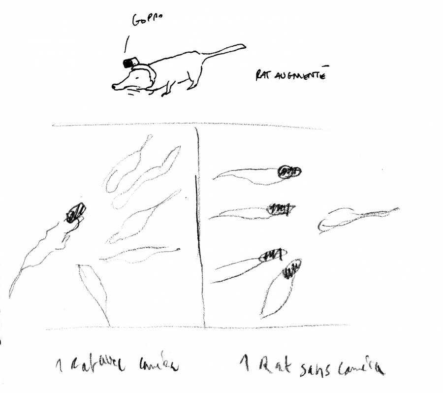 marseilledynamics.jpg