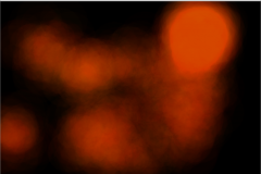 of-examples-03_12_39.png