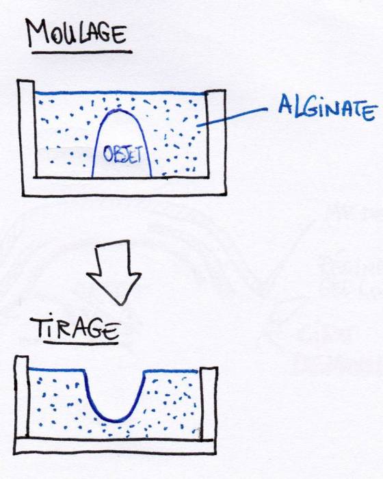moulage-tirage-alginate.jpg