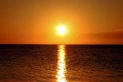 sun.jpg