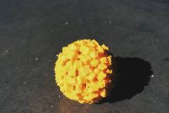 11043243_10205349320320108_7004461303793191583_o.jpg