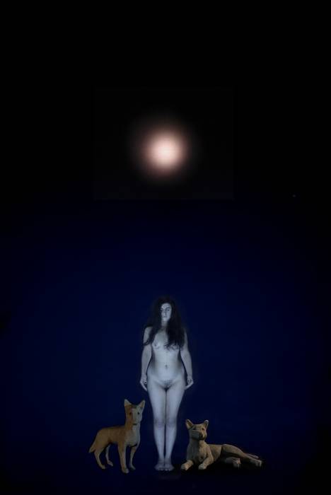 venus-f2.jpg