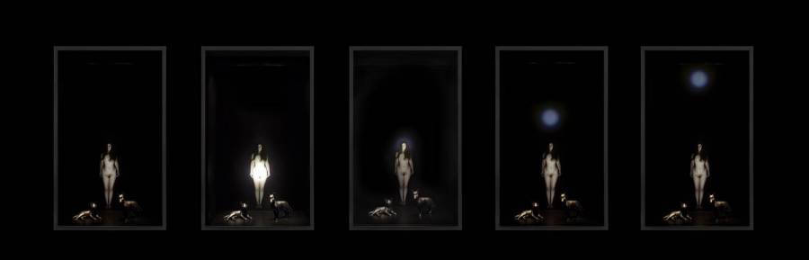 venus-pictures-all.jpg